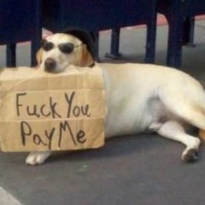 Meet your Posher, Robert